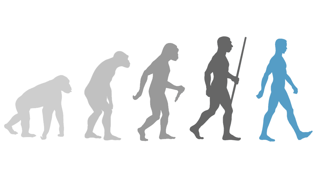SL_evolution
