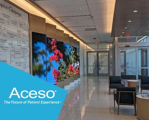 Aceso case study